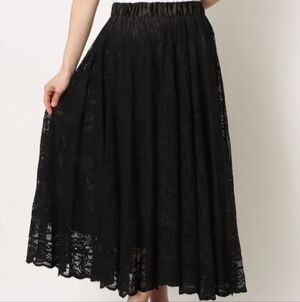 Ginger XS Women’s Black Lace Pleated Skirt